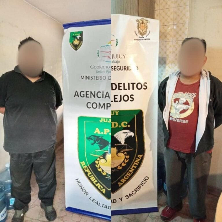 Dos hombres detenidos por ciberdelitos: uno es de San Pedro