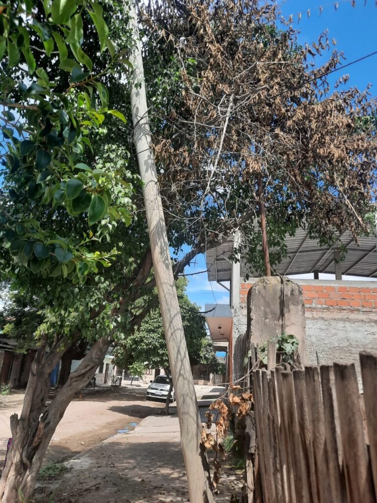 Barrio Ingeniero Snopek: un poste a punto de caerse mantiene en vilo a una familia