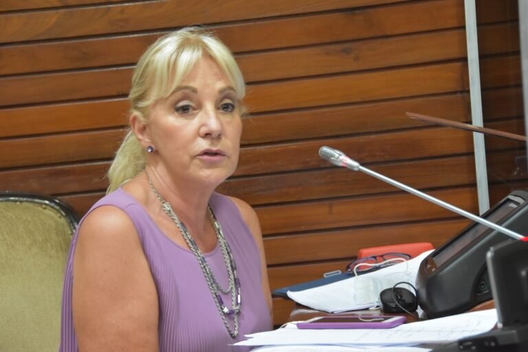 “Nunca se habla de las verdaderas necesidades de los jujeños”, dijo Liliana Fellner