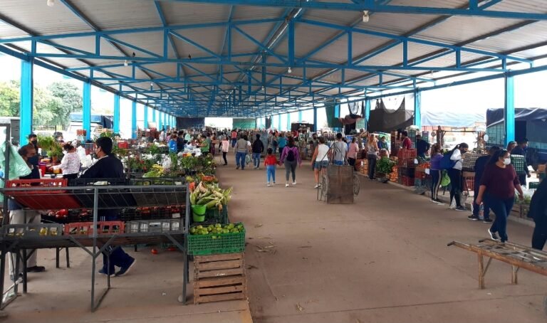 Semana Santa: Precios en la feria frutihortícola de San Pedro [video]
