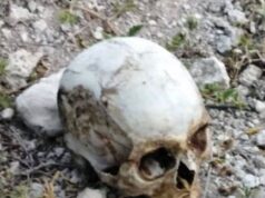 Campo Verde: apareció un cráneo donde se construye la escuela