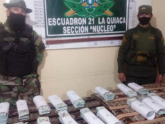 Circulaban con más de 370 mil dólares falsos y fueron detenidos en La Quiaca