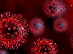 La variante andina del coronavirus ya fue detectada en muestras de 19 países: ¿es preocupante?