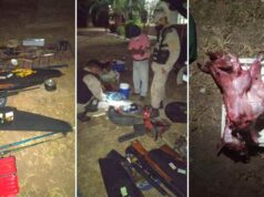 Cuatro personas arrestadas con secuestro de animales faeneados y armas de fuego
