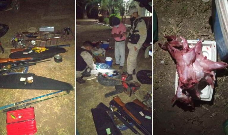 Cuatro personas arrestadas con secuestro de animales faeneados y armas de fuego