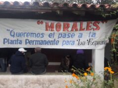 La Esperanza: El SEOM lleva a cabo una protesta frente al municipio. Piden planta permanente y recategorización