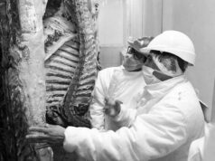 El precio de la carne dio un salto de casi 30% antes del comienzo del paro