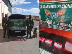 Jujuy: El can antinarcóticos de la Fuerza detectó 5 kilos de cocaína en un automóvil