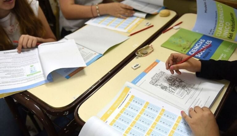 El Gobierno volvió a suspender las pruebas Aprender y hay polémica