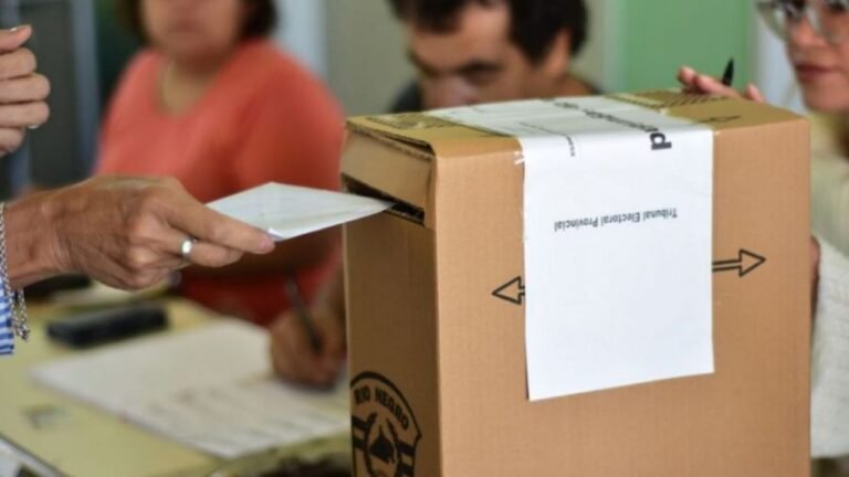 Dónde voto: consulta el padrón para las PASO 2021