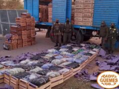 Un camión llevaba 4 millones de pesos en hojas de coca, en medio de cajones de verdura