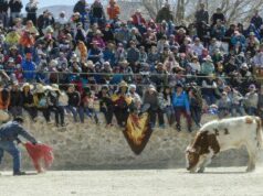Para cuidar la salud de la comunidad, las patronales de Casabindo serán sólo para residentes