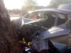 Un joven de 34 años murió tras impactar su auto contra un eucalipto