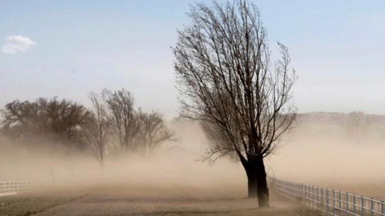 Viento Norte: cómo nos afecta