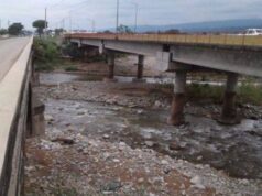 Una persona murió cuando intentaba salvar a su perro