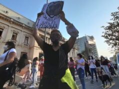 Maltrato animal: pidieron justicia por la perra Negrita