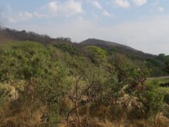 Encontraron a un joven ahorcado en Paraje Camino a la Cruz