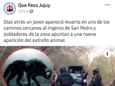 Repudiable: Relacionan trágica muerte con un mito popular ¿cuál es el límite del sensacionalismo?