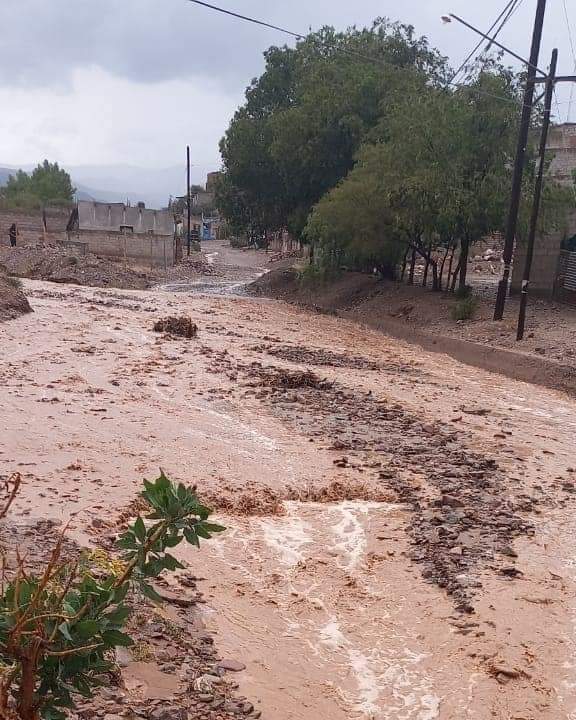 FB_IMG_1637622857389