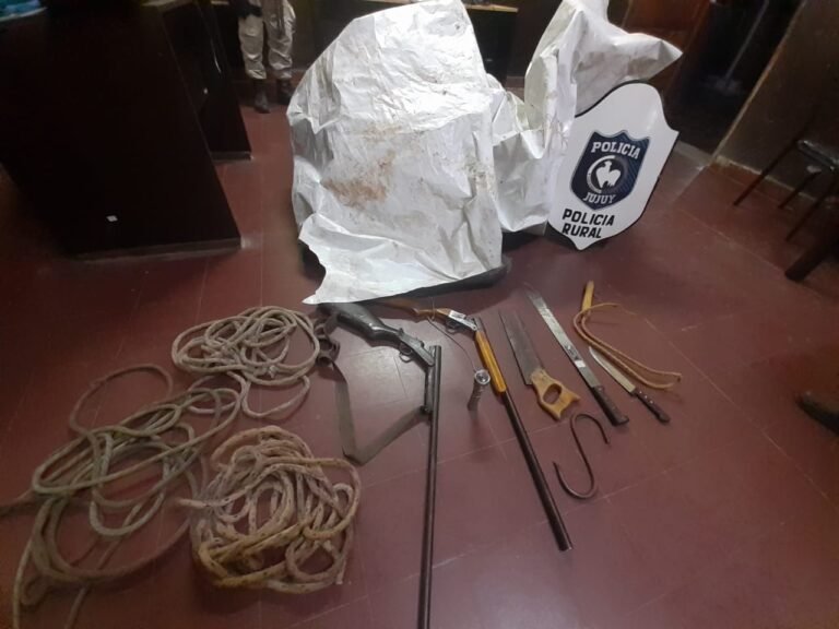 Desbarataron a una banda de cuatreros que operaba en distintas localidades