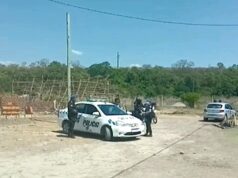 Encontraron plantas de marihuana en una vivienda del barrio Docente