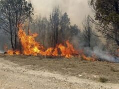 Jujuy: Los incendios en la región de las yungas ya afectaron 4.137 hectáreas