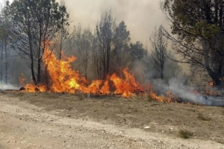 Jujuy: Los incendios en la región de las yungas ya afectaron 4.137 hectáreas