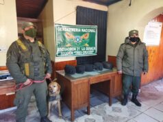 Pasajero de micro trasladaba más de 5 kg de marihuana en su equipaje