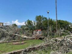 Jujuy: diversos daños tras el temporal de esta madrugada
