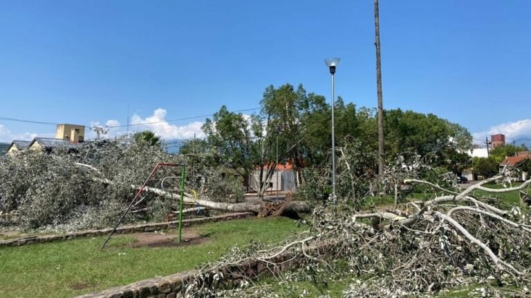 Jujuy: diversos daños tras el temporal de esta madrugada