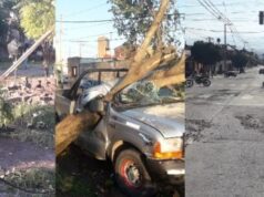 Temporal: Una mujer herida, árboles caídos, casas destruidas y corte de luz