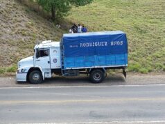 Asaltaron a un camionero en cercanías del Puente San Pedro