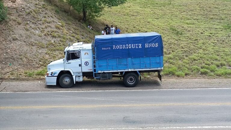 Asaltaron a un camionero en cercanías del Puente San Pedro