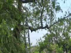 Hallaron un cuerpo masculino al costado del río en el barrio Malvinas