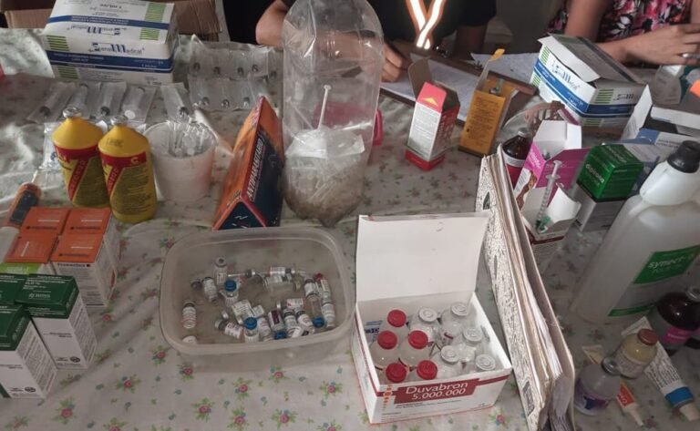 Detuvieron a una veterinaria «trucha» en El Piquete