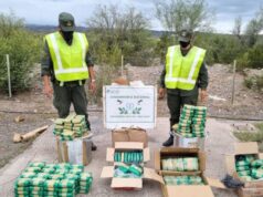 Un colectivo precedente de Jujuy transportaba 56 kilos de hojas de coca