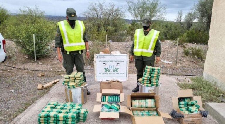 Un colectivo precedente de Jujuy transportaba 56 kilos de hojas de coca