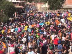 Omar Gutiérrez: “Pedimos a la gente responsabilidad a la hora de asistir al Carnaval