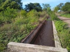 Un niño de 3 años fue hallado sin vida en los márgenes del «Canal de la Muerte»