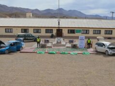En Jujuy y Salta: decomisan más de una tonelada de hojas de coca en dos procedimientos