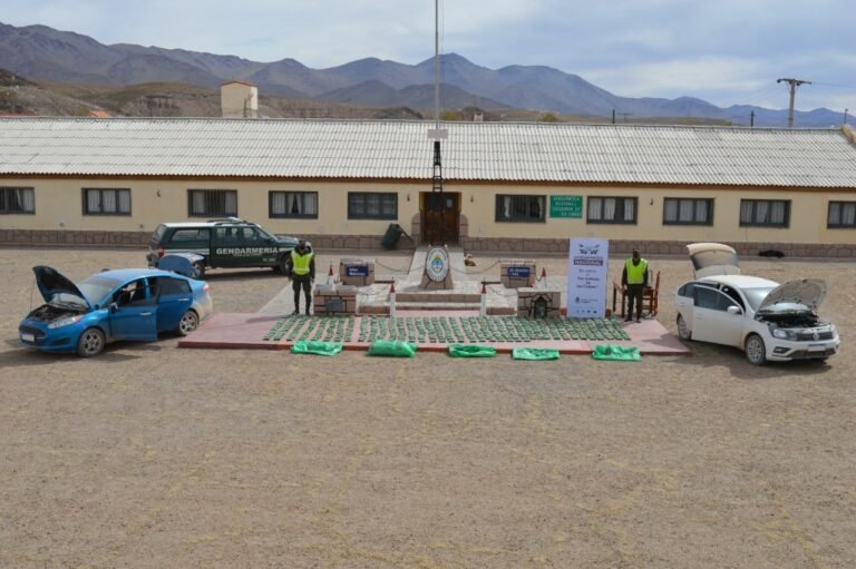 En Jujuy y Salta: decomisan más de una tonelada de hojas de coca en dos procedimientos