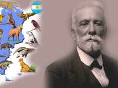 ¿Por qué se celebra el 29 de abril el Día del Animal en Argentina?