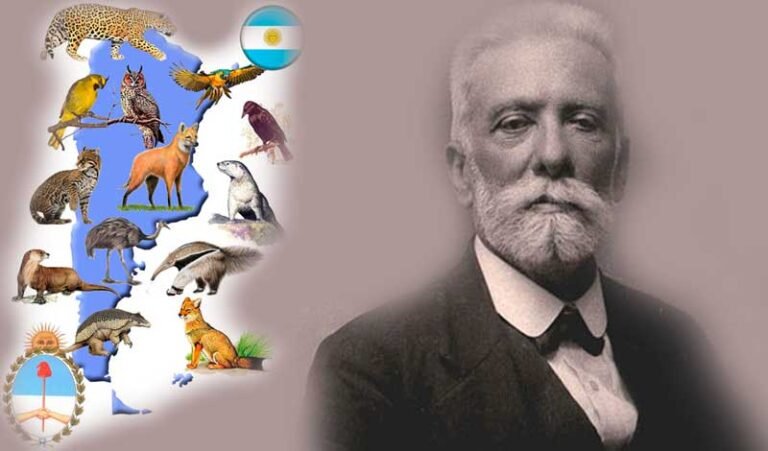 ¿Por qué se celebra el 29 de abril el Día del Animal en Argentina?