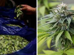 Gendarmería Nacional afirma que el nivel de contrabando va en aumento en Jujuy