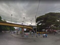 Jujuy: Ataque de “viudas negras”