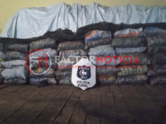 Demoran a un sujeto que transportabacarbón sin la documentación correspondiente