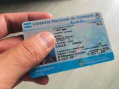 Sistema de licencias de conducir por puntos: de qué se trata