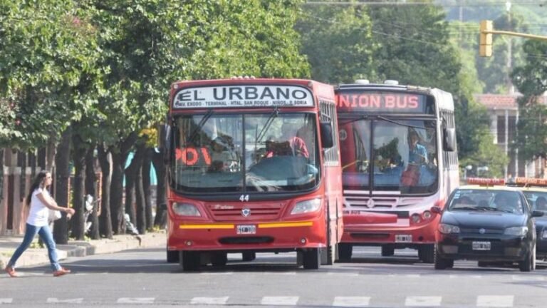 El Gobierno Nacional amplió en $16.000 millones los subsidios al transporte del interior