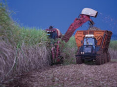 El Gobierno de Jujuy declaró la emergencia agraria para el sector cañero