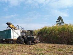 Se agrava el faltante de gasoil en el Norte y complica la cosecha de caña de azúcar, limón, maíz y yerba mate